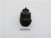 藏品(大黑糞金龜)的圖片